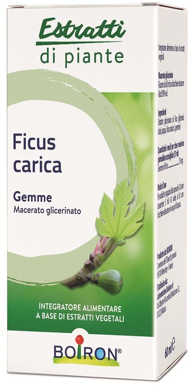 BOIRON FICUS CARICA GEMME MACERATO GLICERINATO 60 ML - maxifarmacia.it