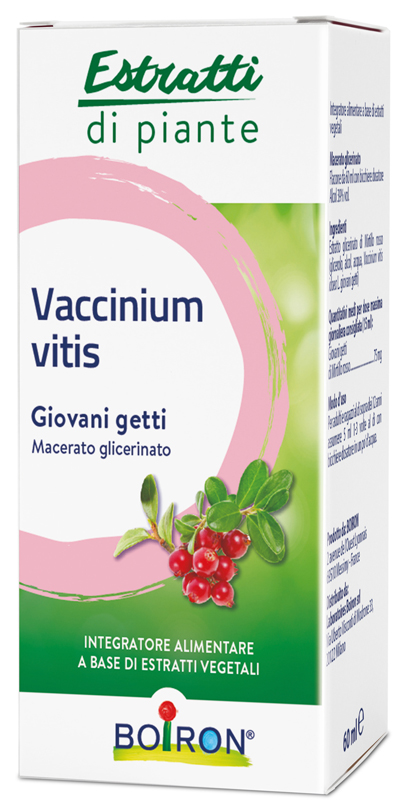 VACCINIUM VITIS MACERATO GLICERICO 60 ML - maxifarmacia.it