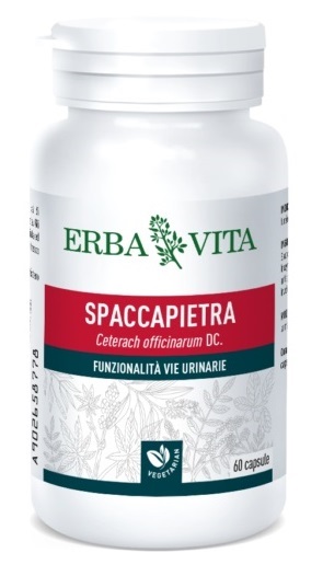 SPACCAPIETRA 60 CAPSULE - maxifarmacia.it
