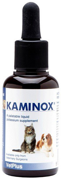 KAMINOX SCIROPPO 60 ML - maxifarmacia.it