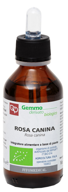 ROSA CANINA MACERATO GLICERICO 100 ML BIO - maxifarmacia.it
