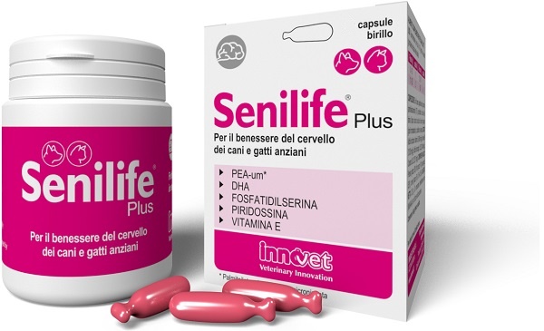 SENILIFE PLUS 60 CAPSULE - maxifarmacia.it