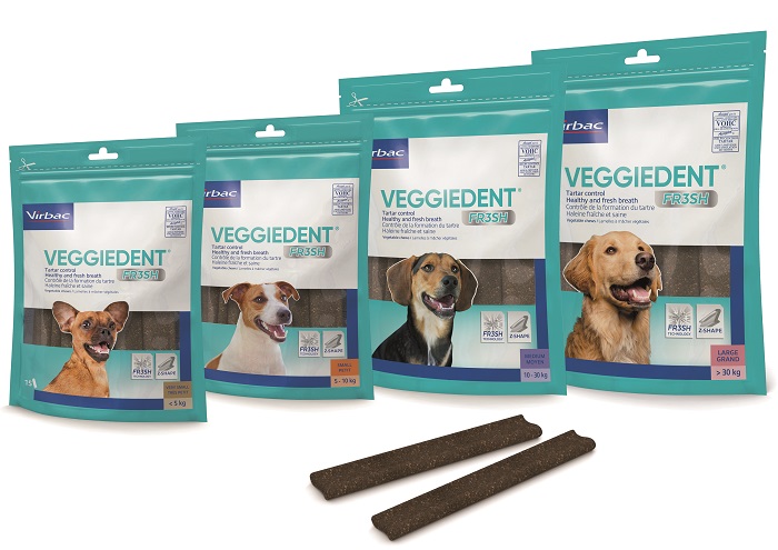 VEGGIEDENT FR3SH S 15 STICK - maxifarmacia.it
