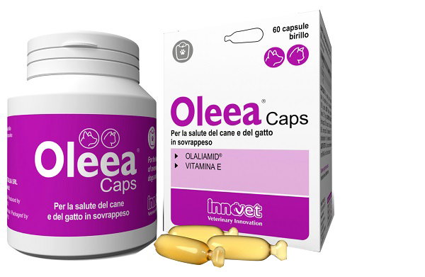OLEEA CAPS 60 CAPSULE - maxifarmacia.it