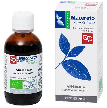 ANGELICA TINTURA MADRE 50 ML BIO - maxifarmacia.it