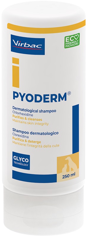 PYODERM SHAMPOO 250 ML - maxifarmacia.it