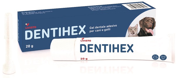 DENTIHEX GEL DENTALE ADESIVO PER CANI E GATTI 20 G - maxifarmacia.it