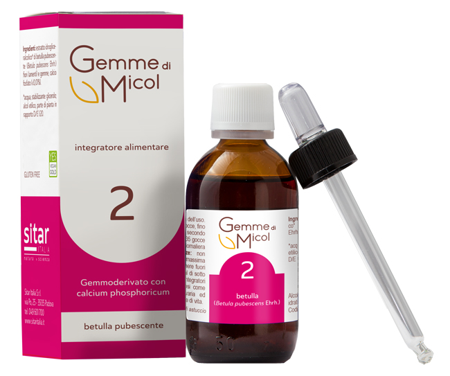 GEMME DI MICOL SOLUZIONE IDROGLICERALCOLICA 2 30 ML - maxifarmacia.it