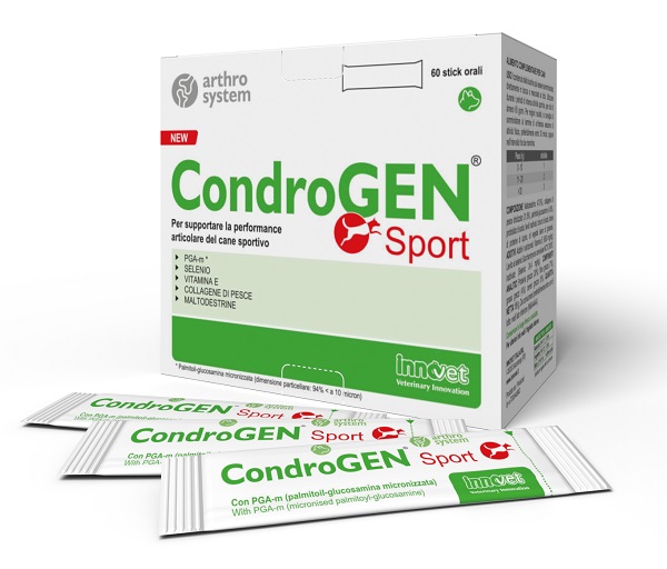 CONDROGEN SPORT 60 STICK - maxifarmacia.it