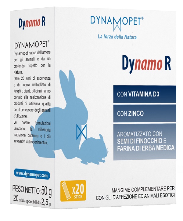 DYNAMO R 20 STICK DA 2,5 G - maxifarmacia.it